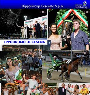 Rassegna stampa hippogroup 2011