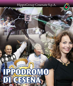 Rassegna stampa hippogroup 2010